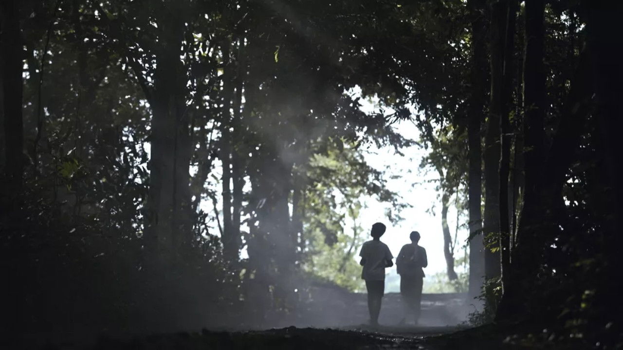 Backdrop for Mist of the Past