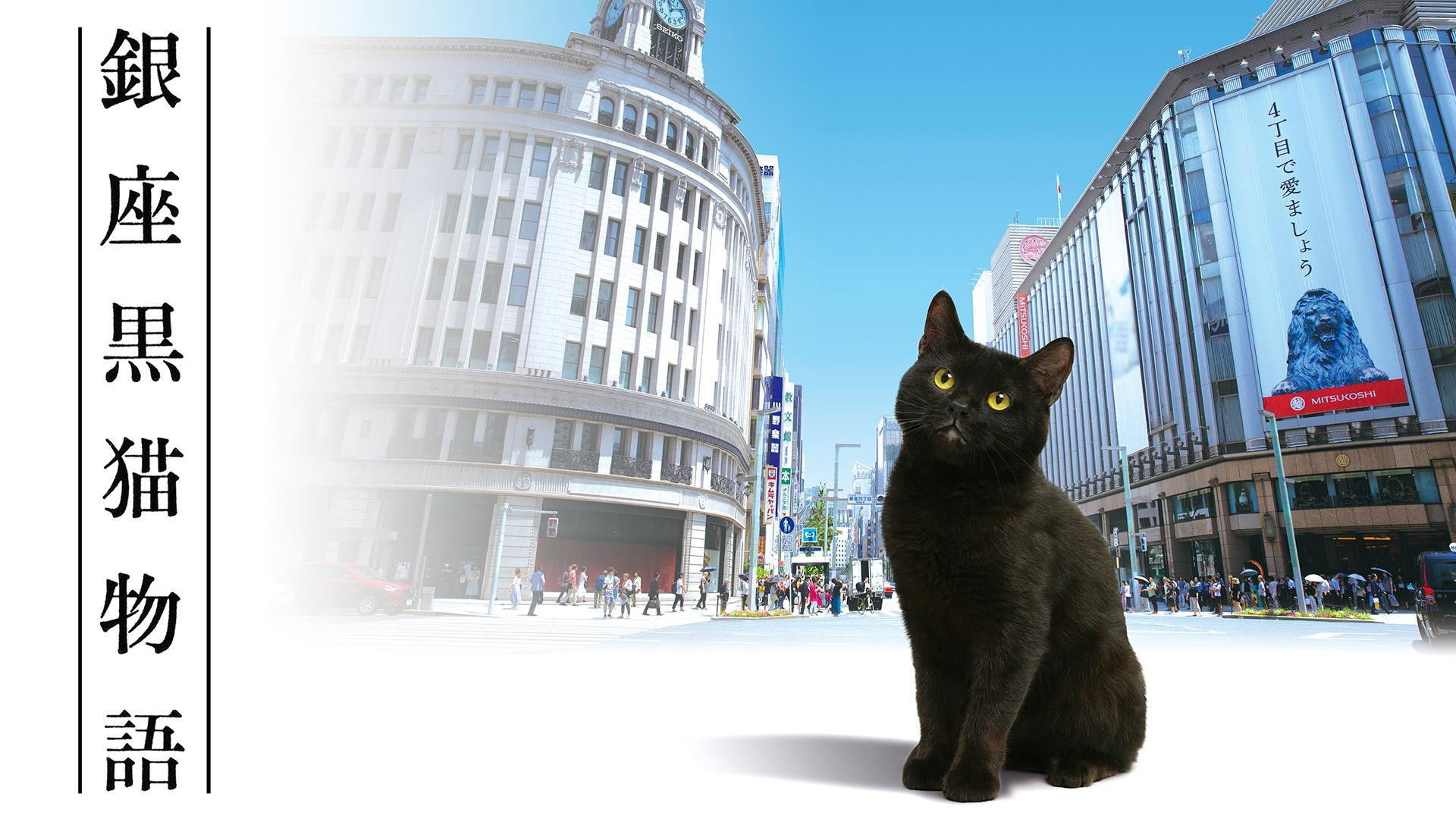 Backdrop for Ginza Black Cat Story
