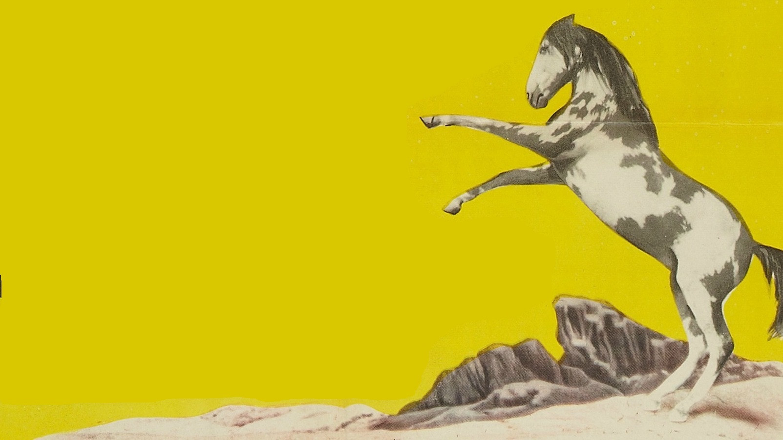 Backdrop for Thunderhoof