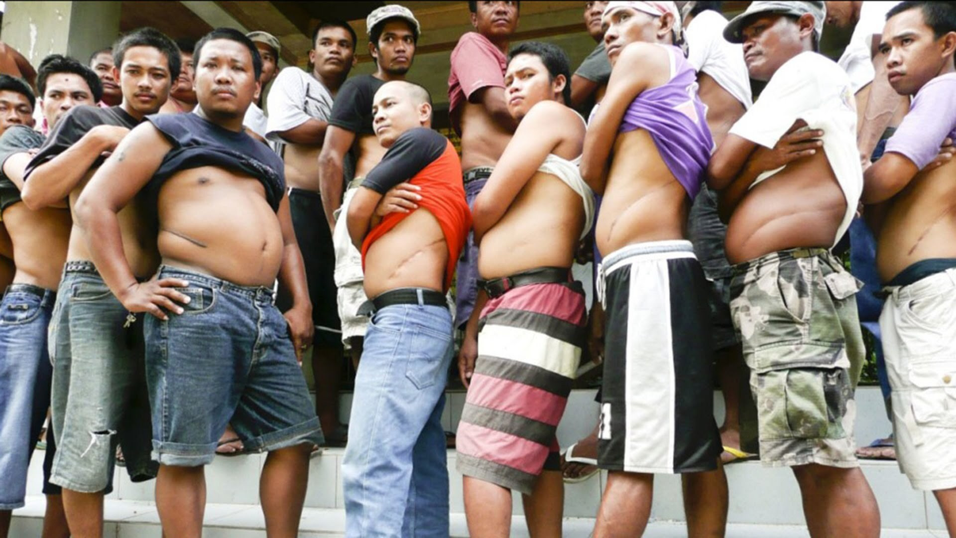 Backdrop for Tales from the Organ Trade