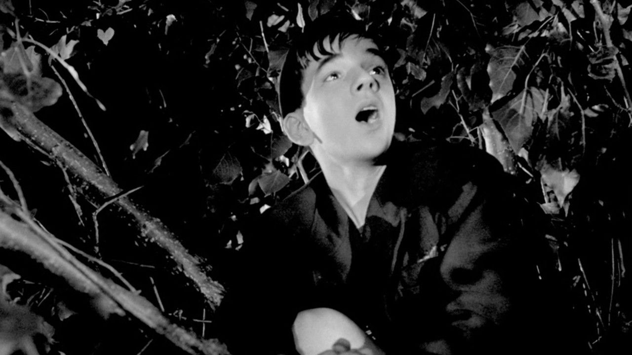 Backdrop for Le Rossignol et les cloches