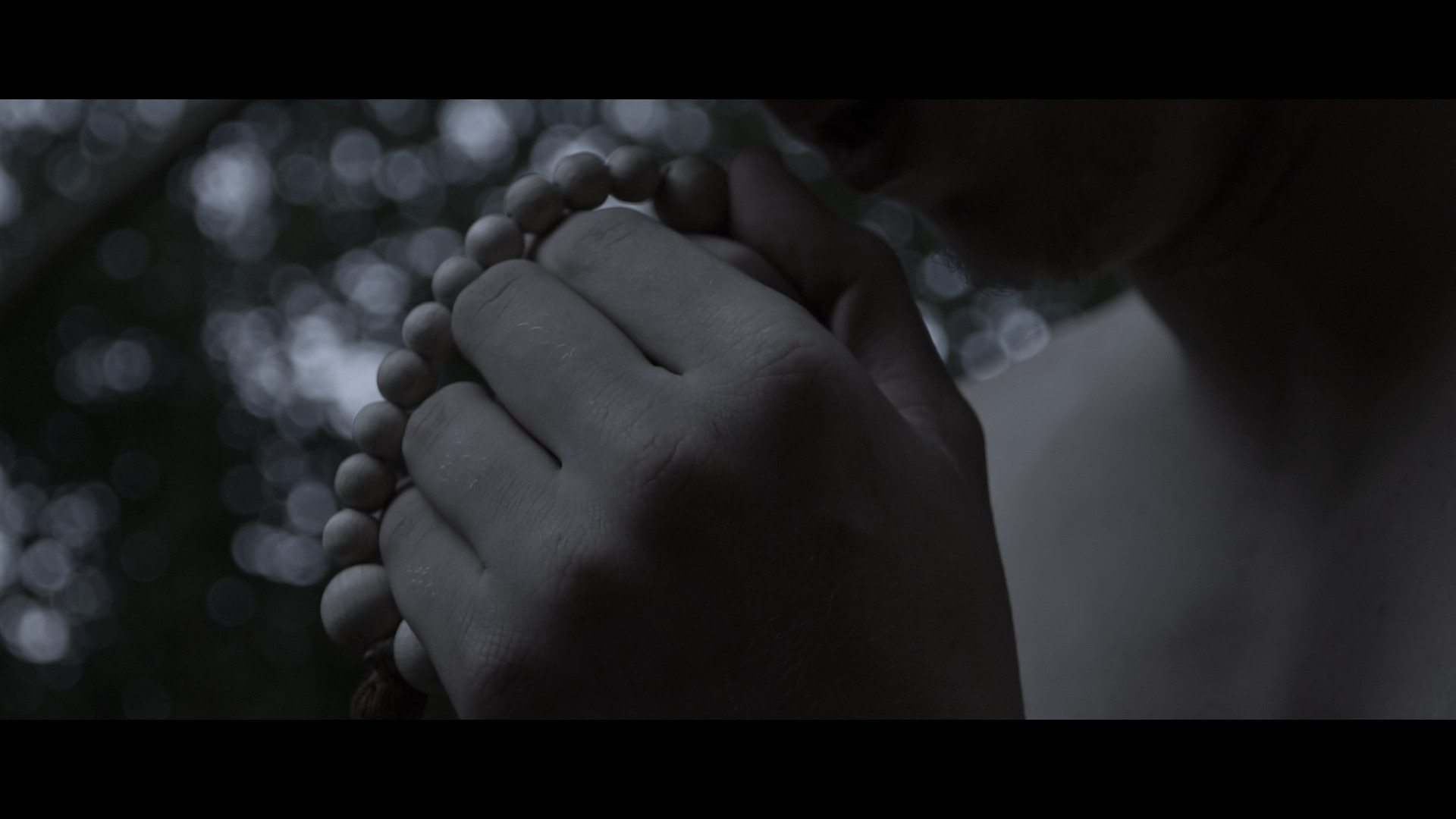 Backdrop for PER SANGUINEM CRUCIS