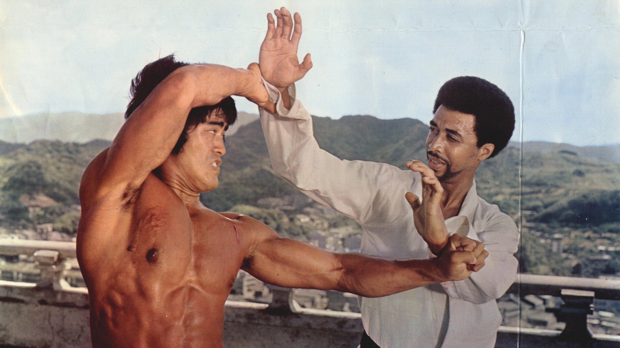 Backdrop for The Black Dragon vs. the Yellow Tiger