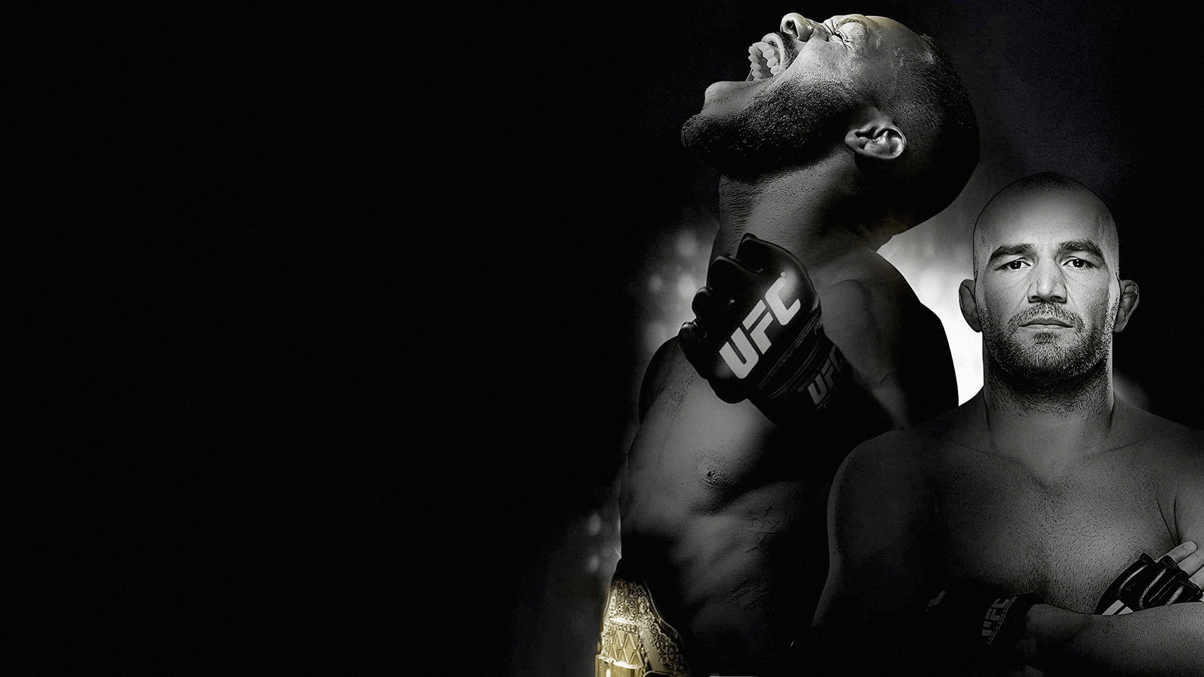 Backdrop for UFC 172: Jones vs. Teixeira