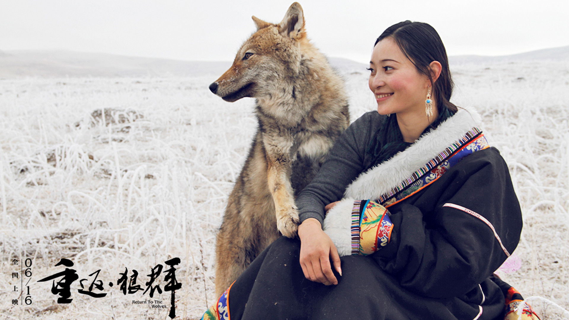 Backdrop for Return to the Wolves