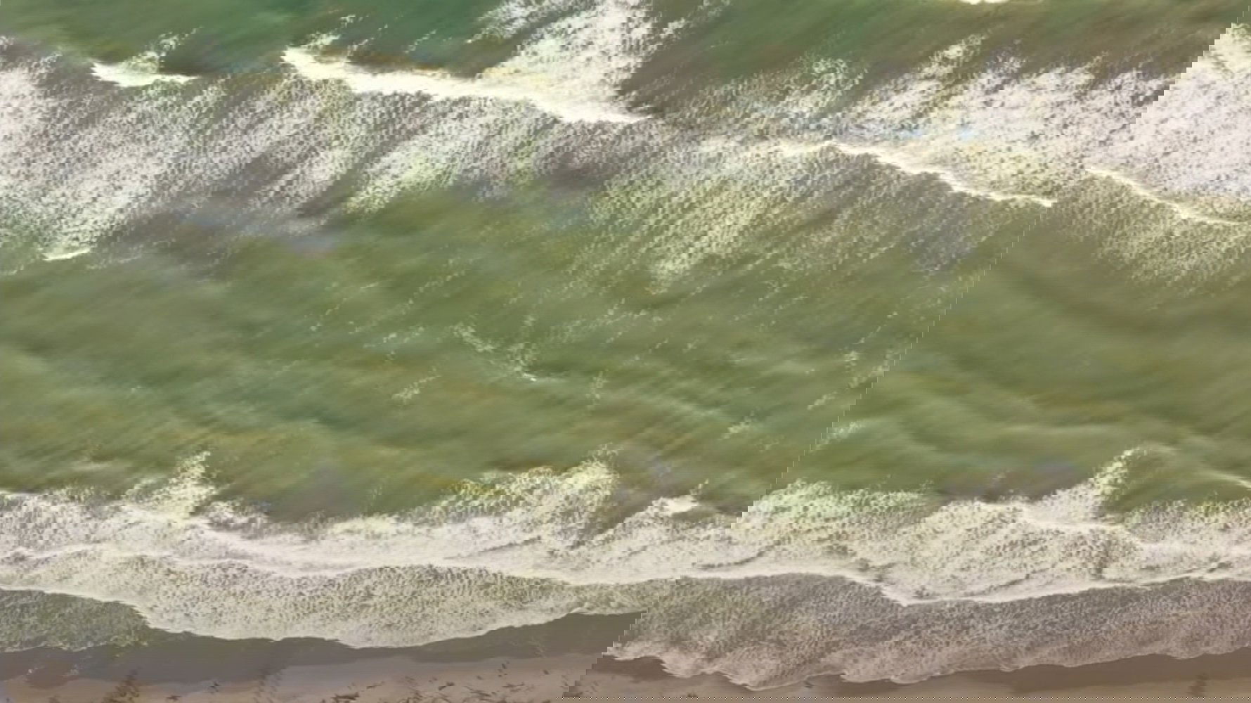 Backdrop for Sara, the force of the sea