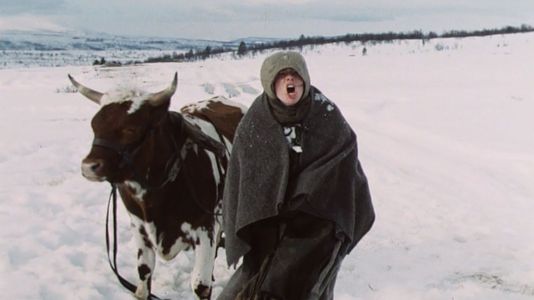 Backdrop for An-Magritt