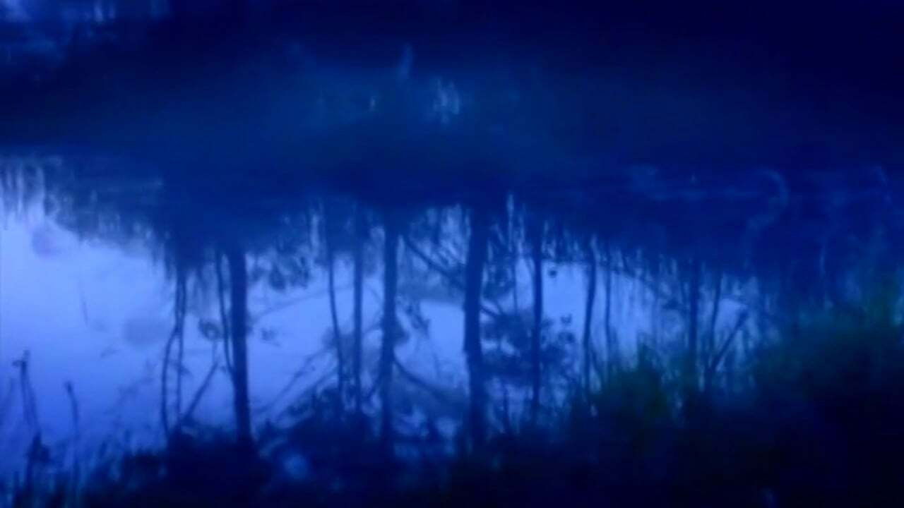 Backdrop for Os Melhores Anos de Nossas Vidas