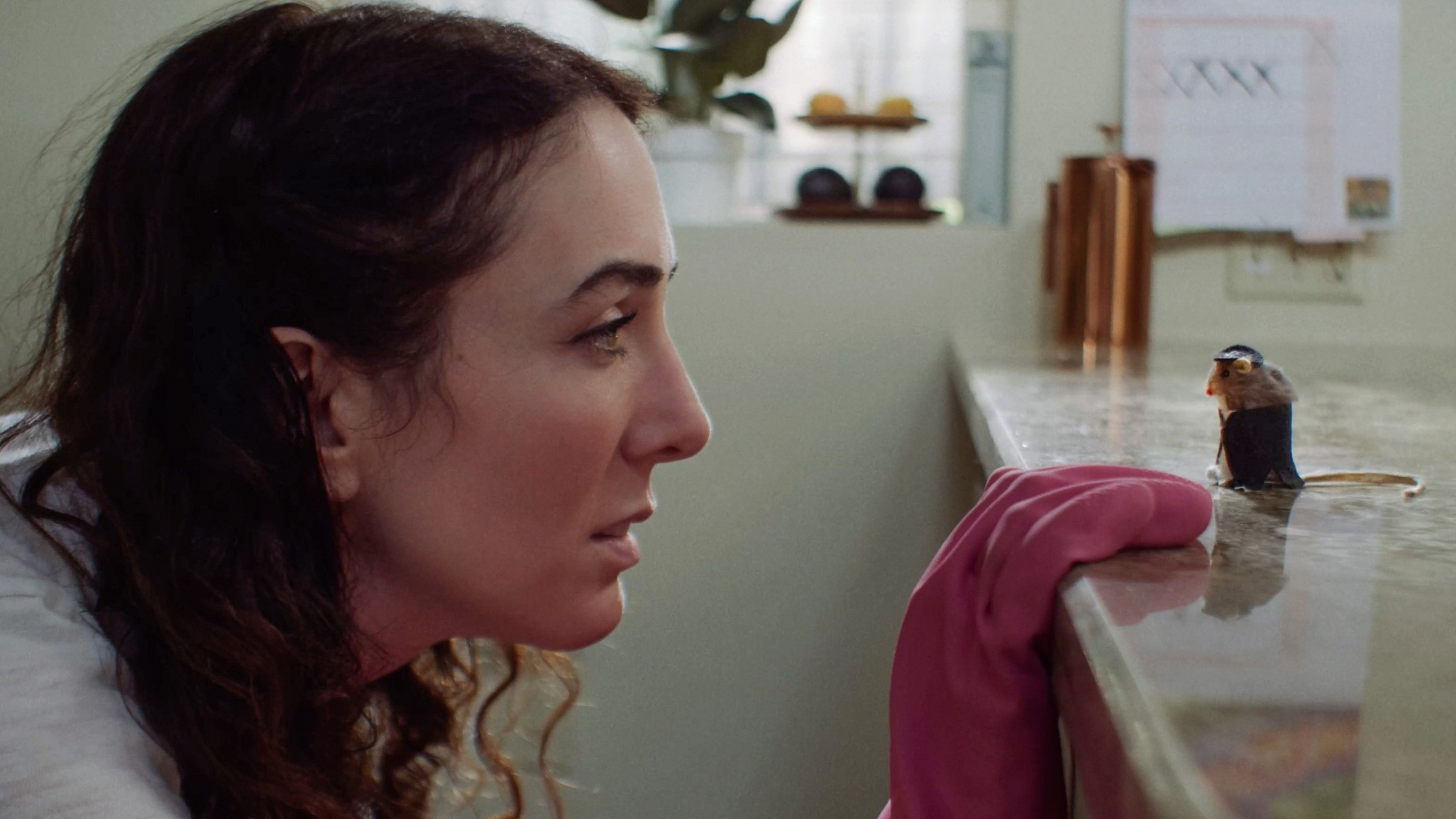 Backdrop for Little Jar