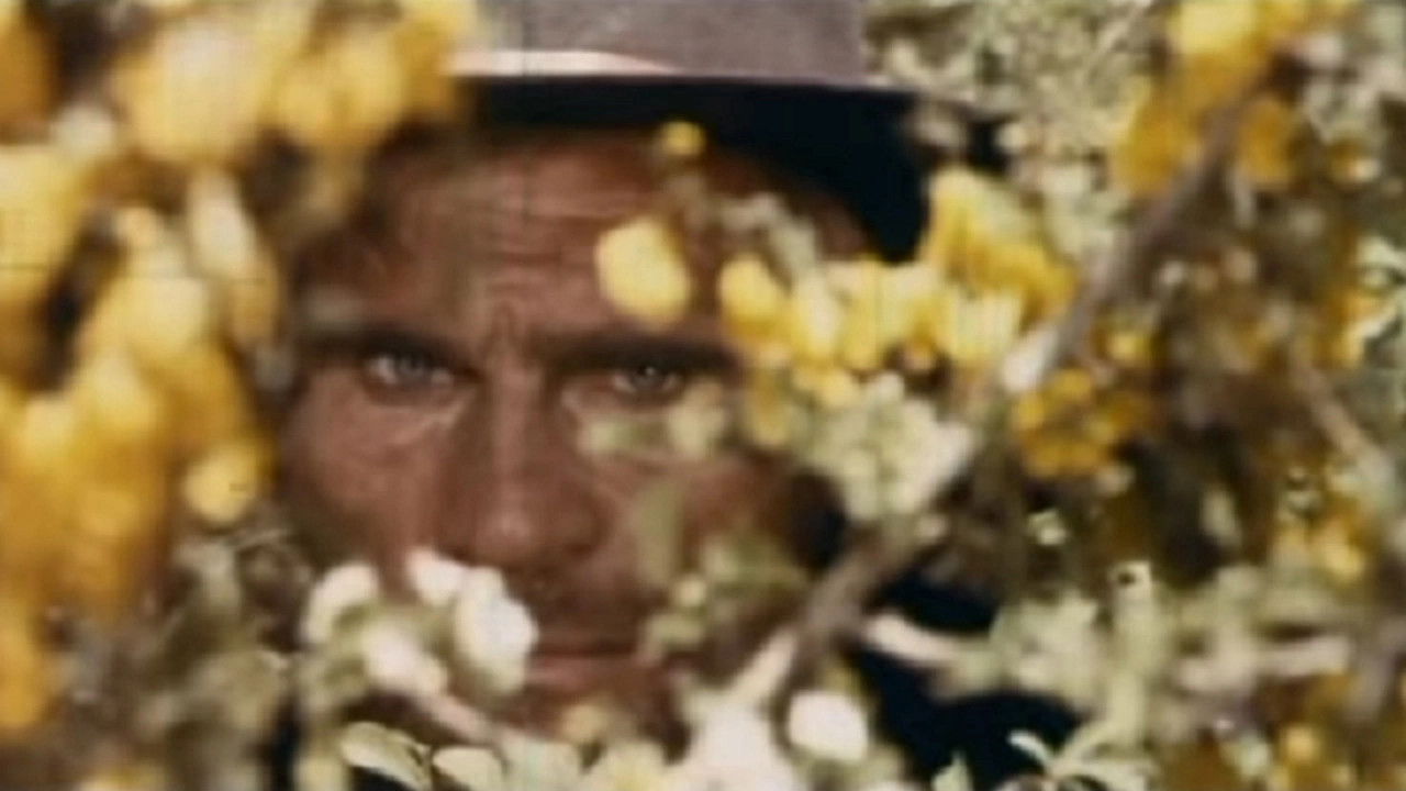 Backdrop for Let's Go And Kill Sartana