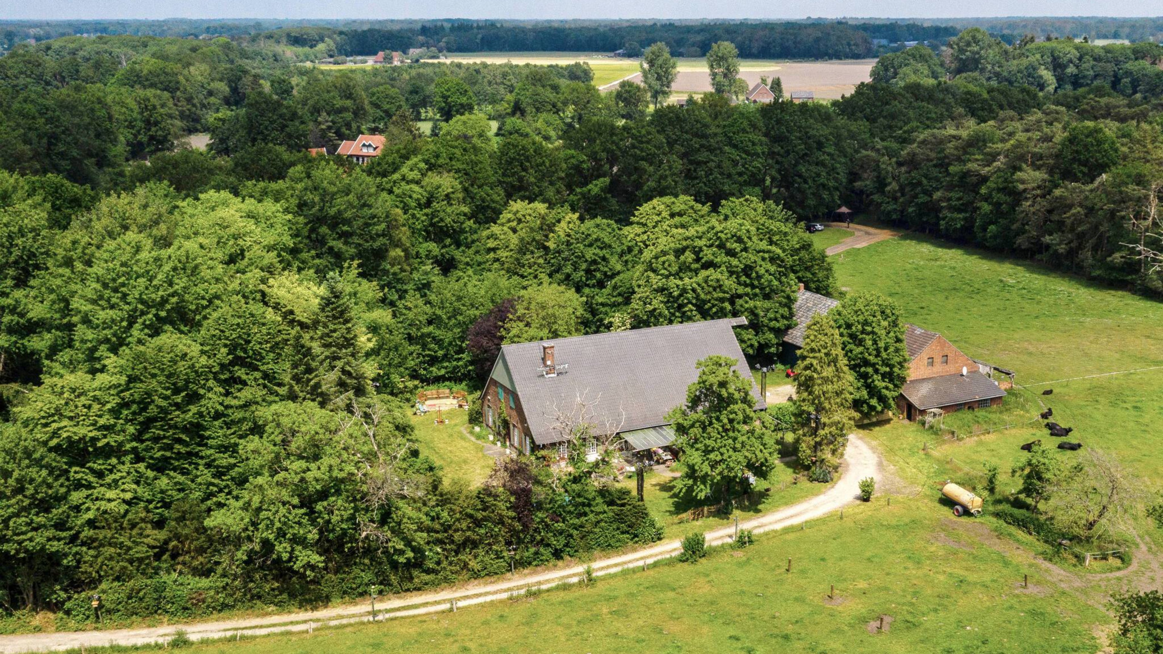 Backdrop for Das Sommerhaus der Stars - Kampf der Promipaare