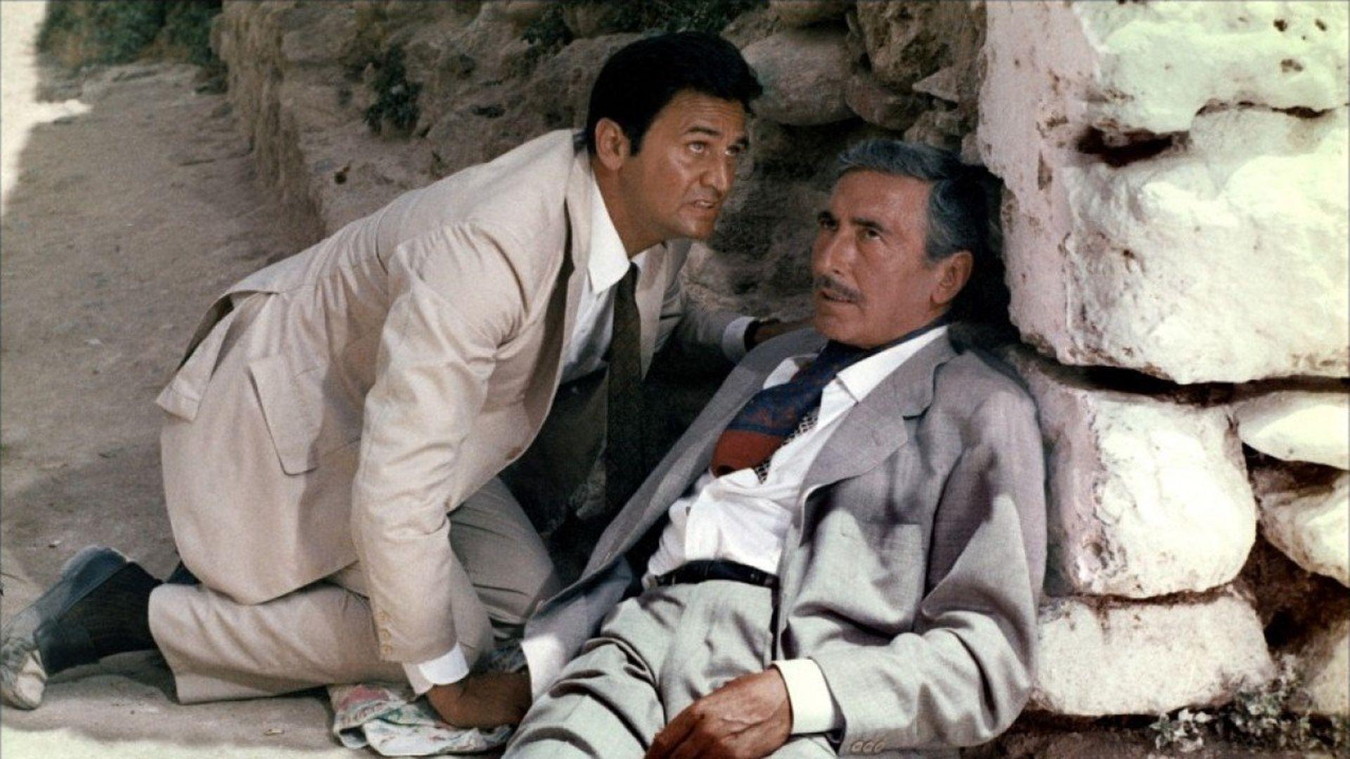 Backdrop for Our Agent Tiger