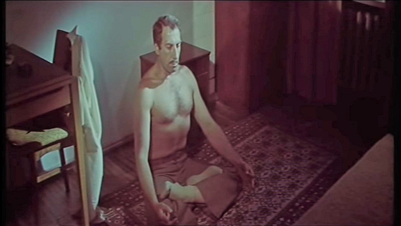 Backdrop for A Country House for One Family