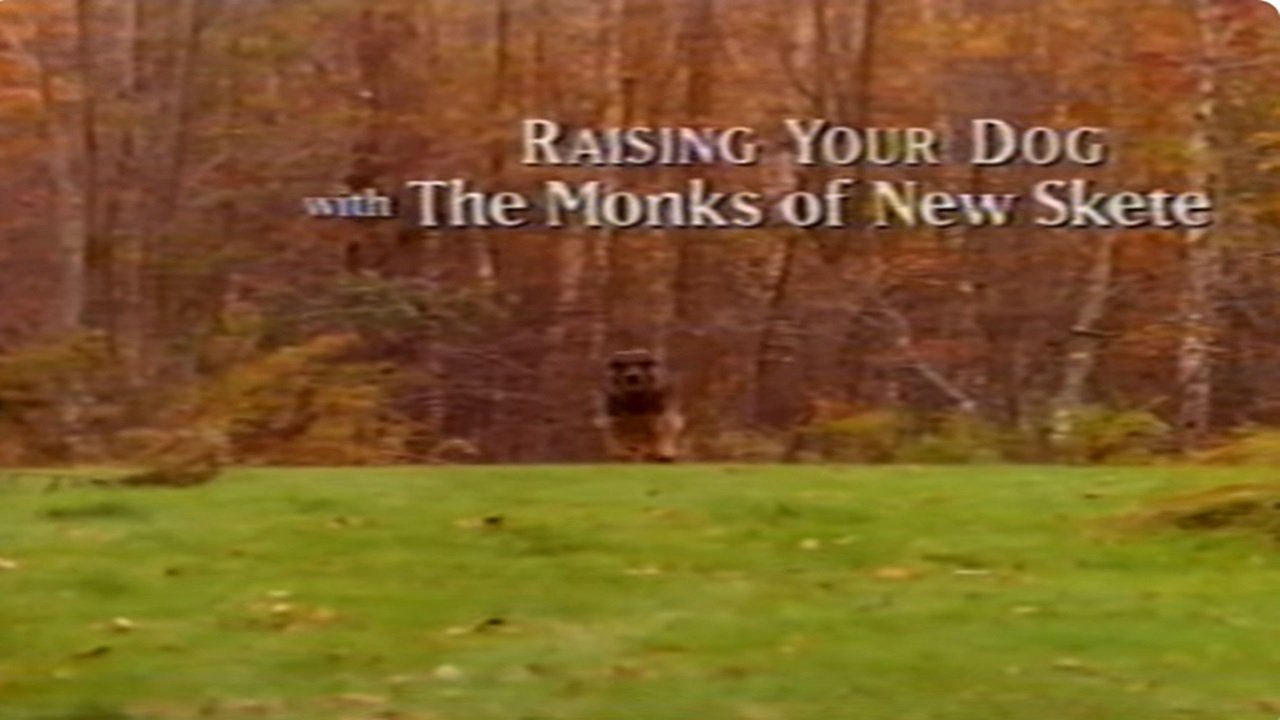 Backdrop for Raising Your Dog with the Monks of New Skete: Obedience - Working With Your Adult Dog