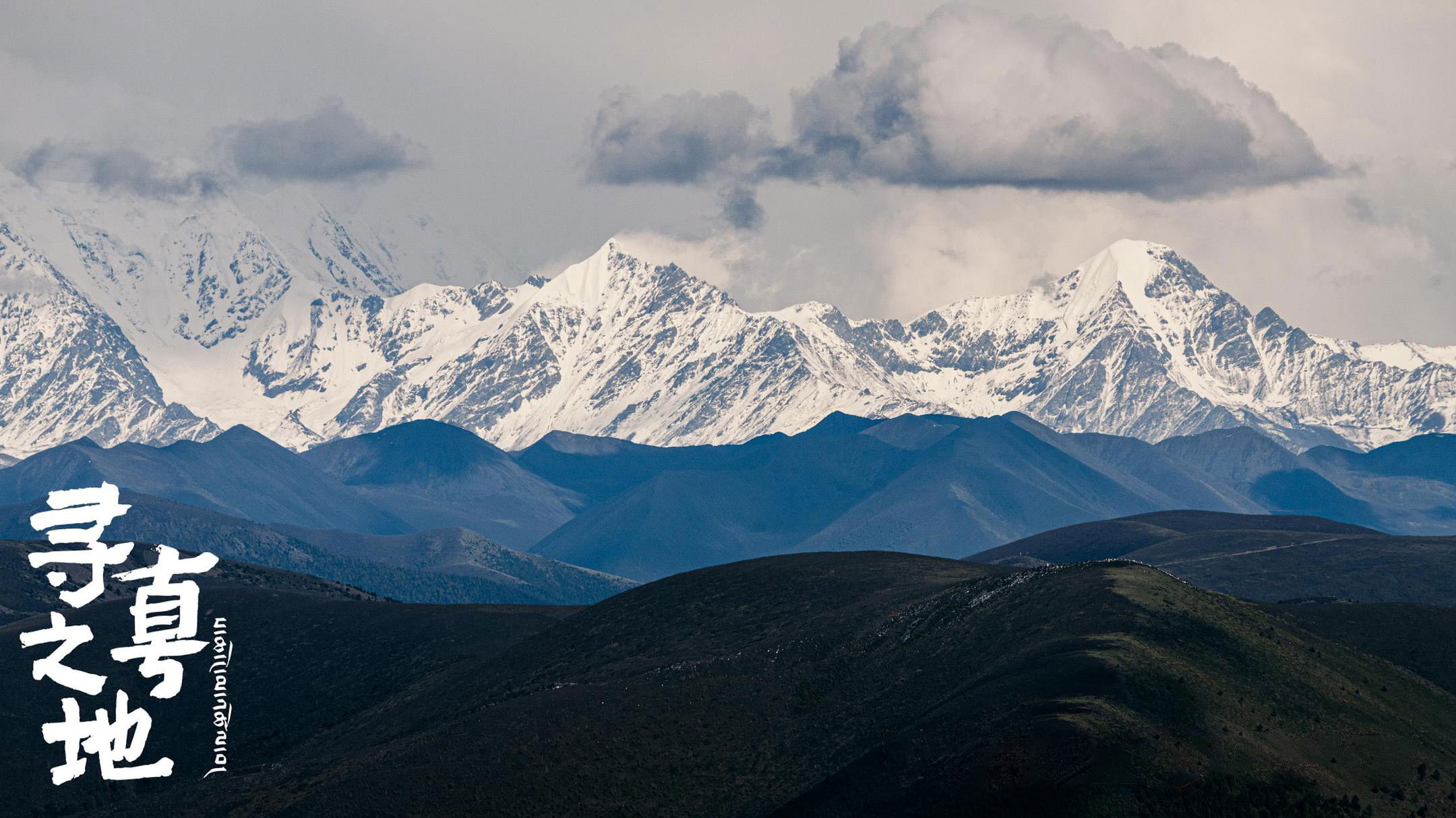 Backdrop for The Land of the Pure