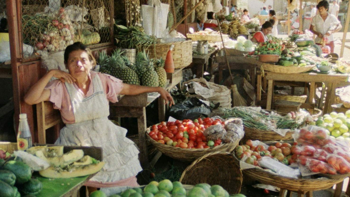 Backdrop for Unterwegs in Nikaragua - Eine filmische Reisebeschreibung für Kinder