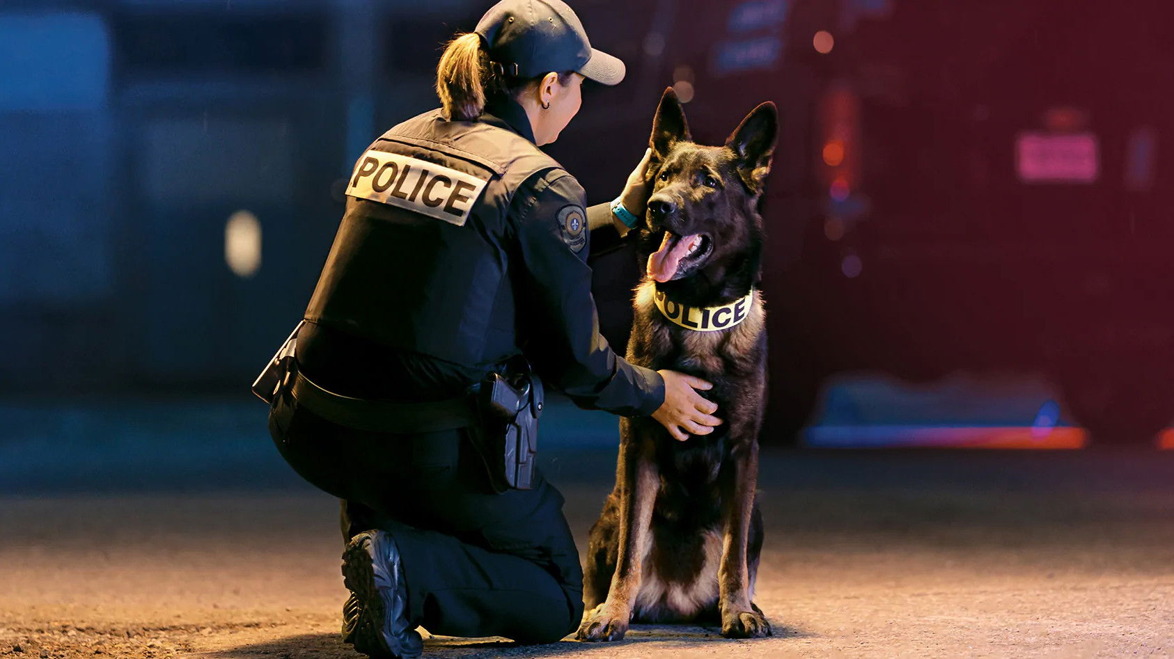 Backdrop for Unité canine