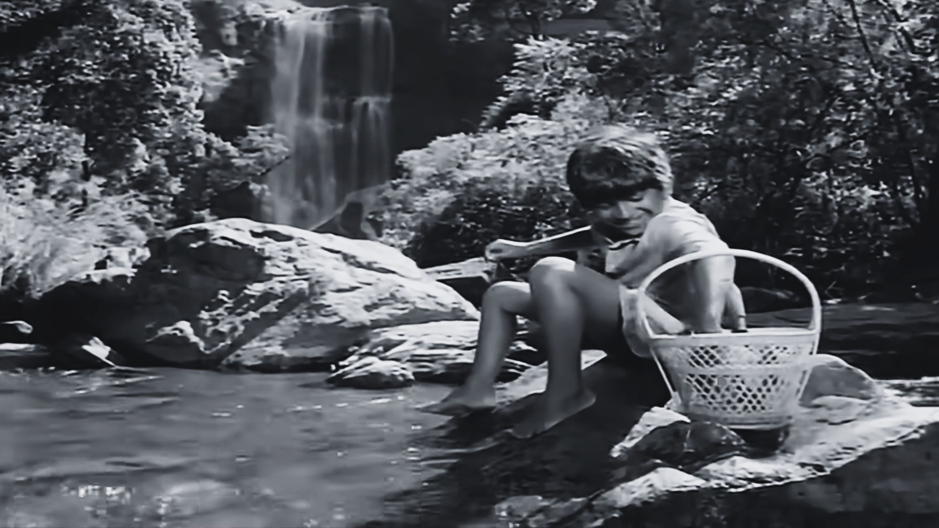 Backdrop for Bettada Hoovu