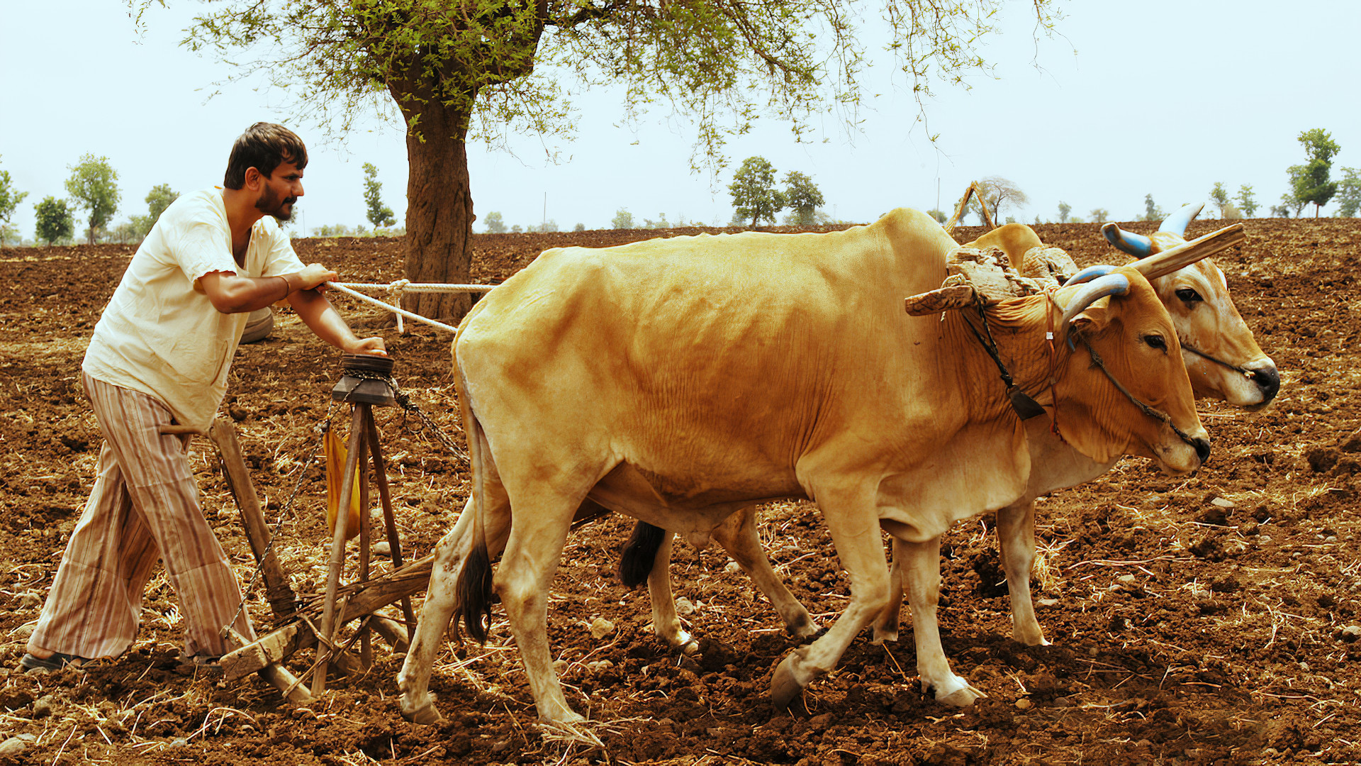 Backdrop for Gabhricha Paus