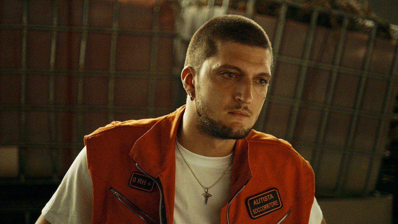 Backdrop for Animali randagi