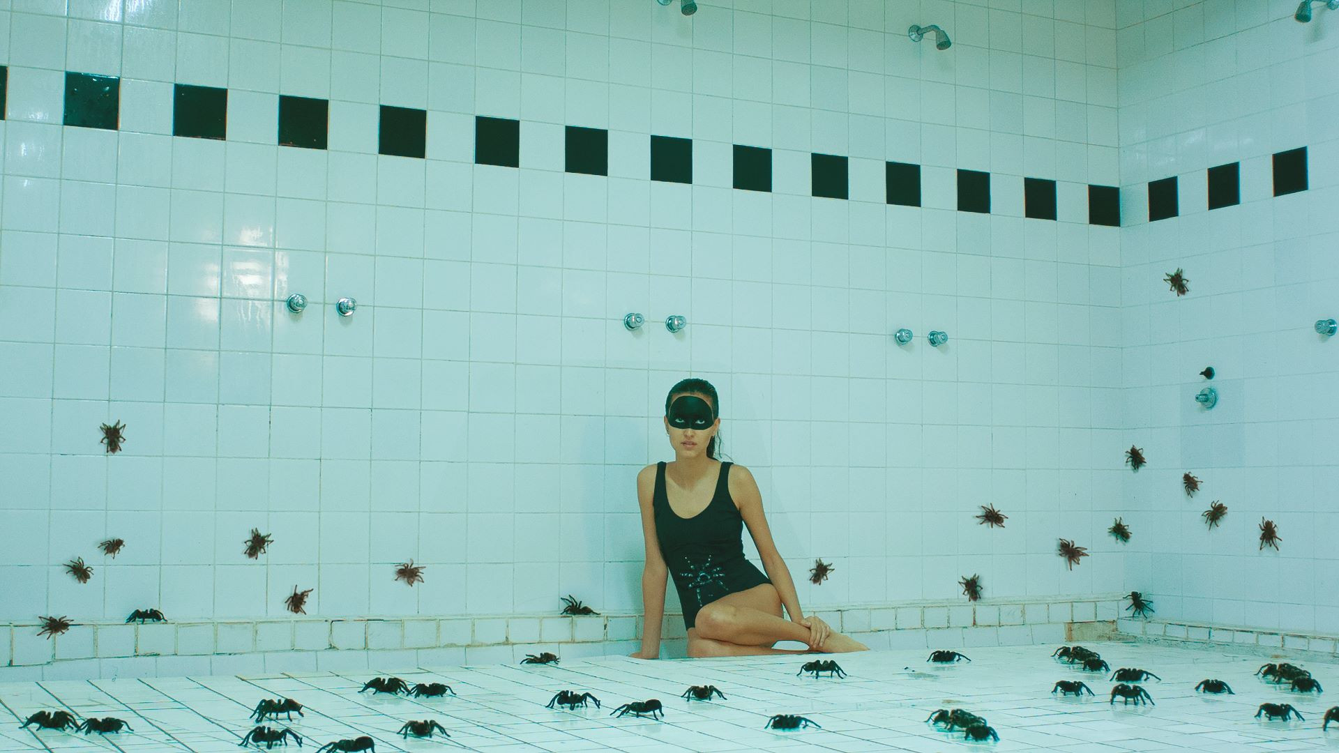 Backdrop for Arachnids