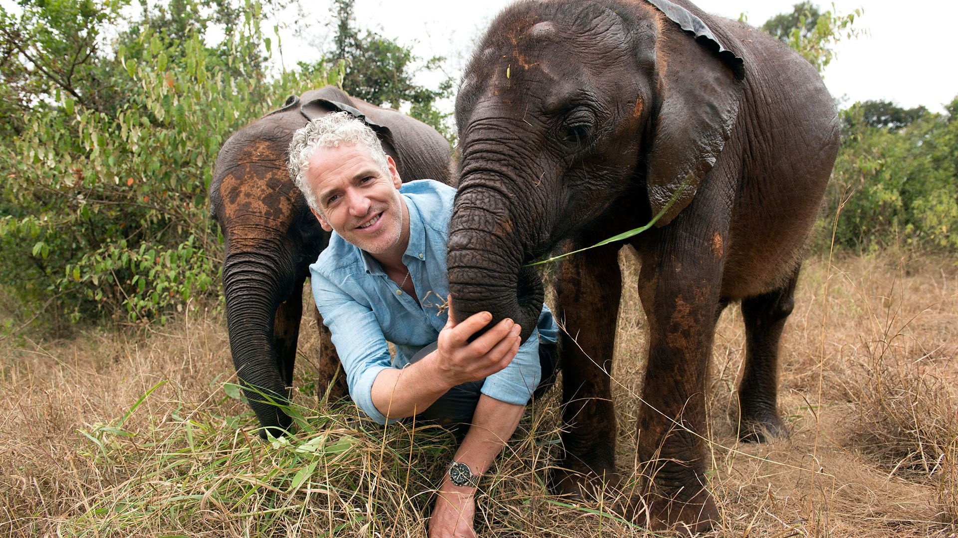 Backdrop for Gordon Buchanan: Elephant Family & Me