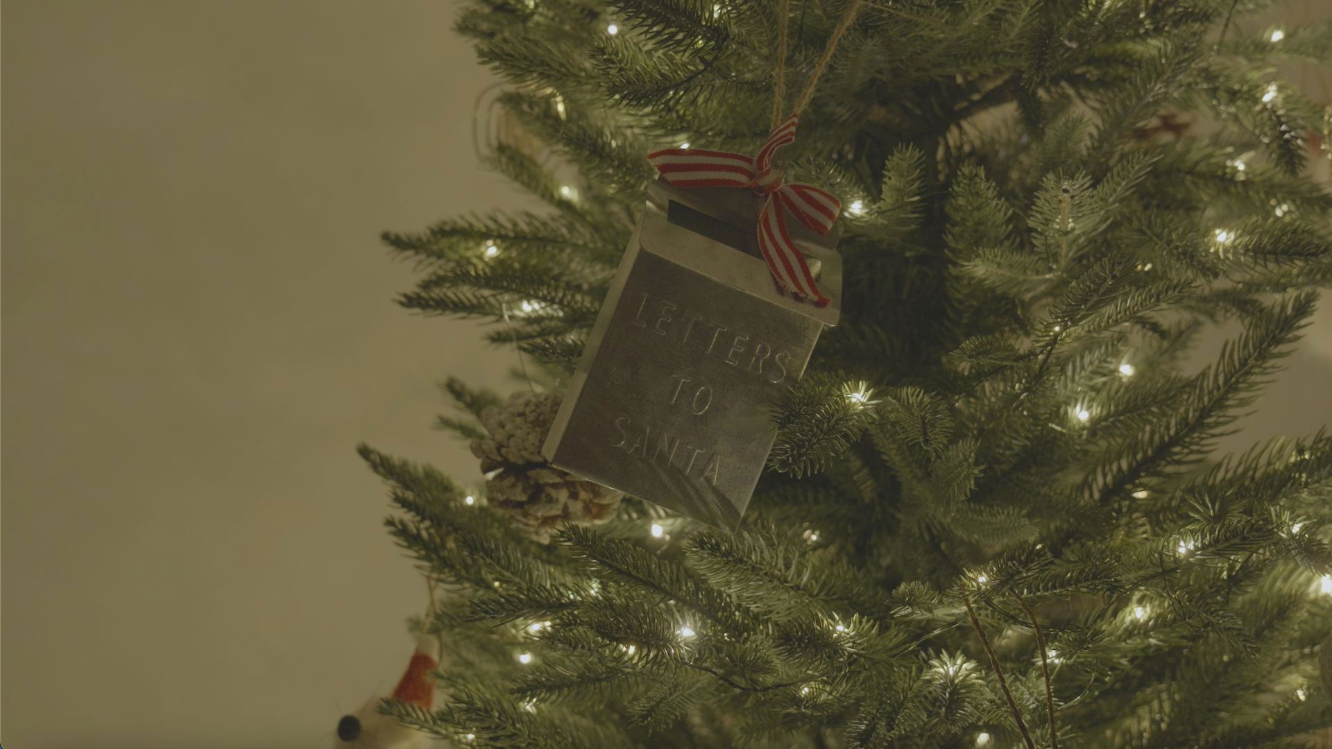 Backdrop for Santa's Never Been to My House