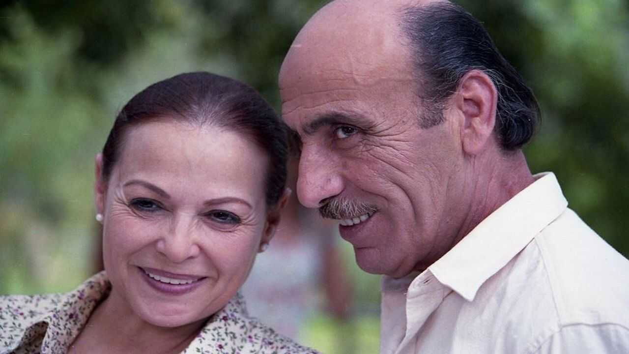 Backdrop for Passover Fever