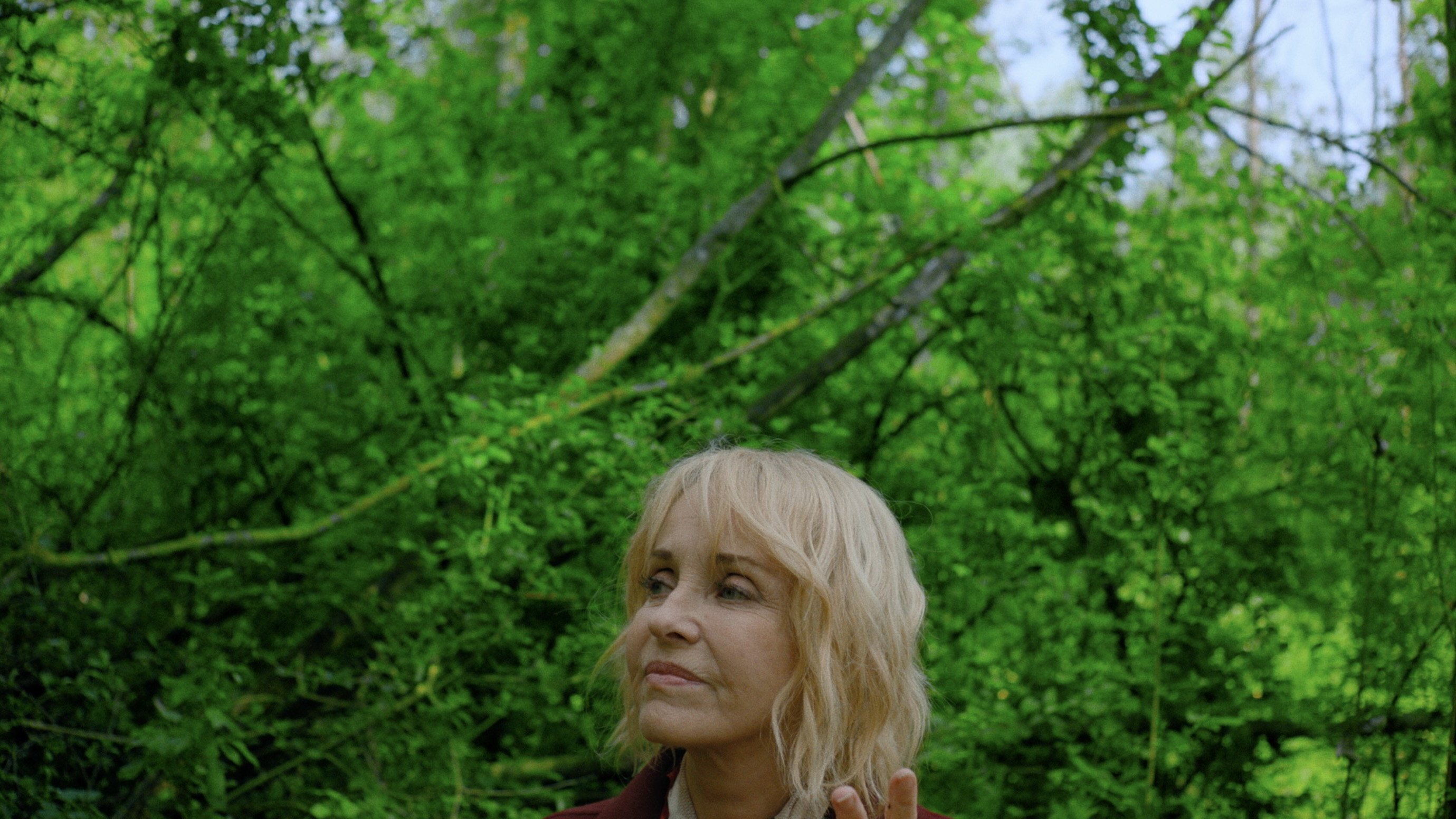 Backdrop for Le Liechi