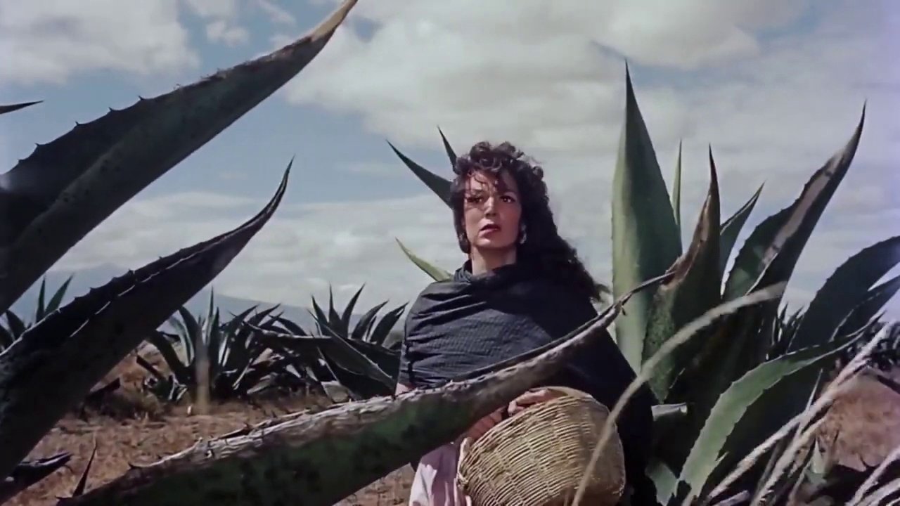 Backdrop for The Hidden One