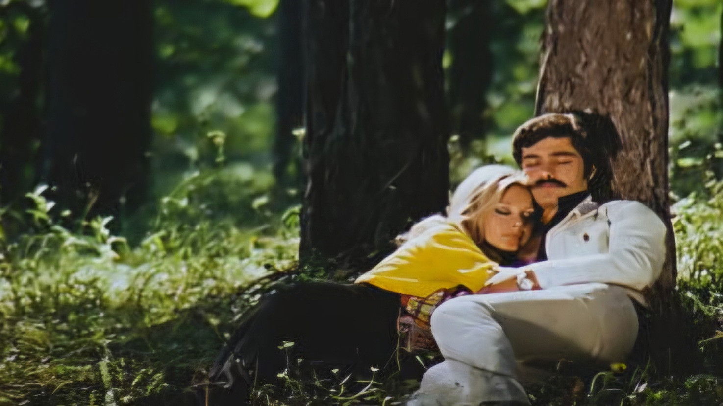 Backdrop for Almanyalı Yarim