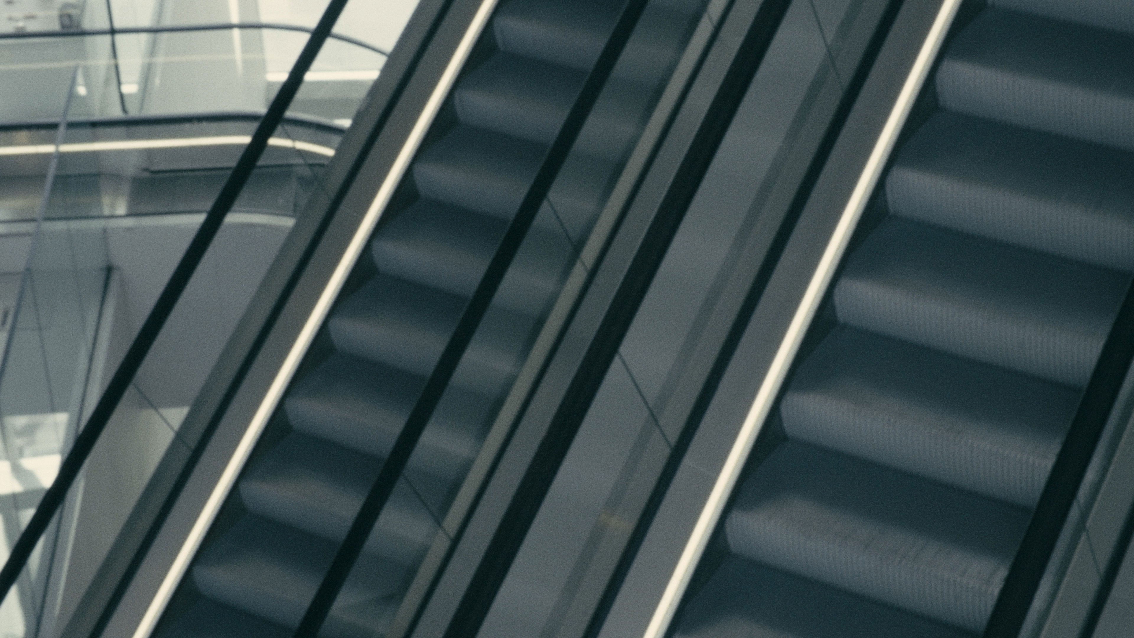 Backdrop for SUR FACIE