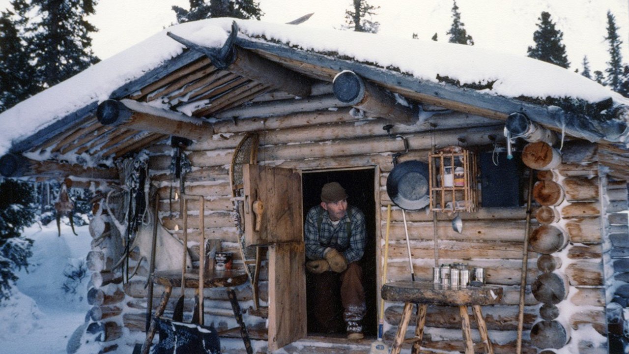 Backdrop for The Frozen North