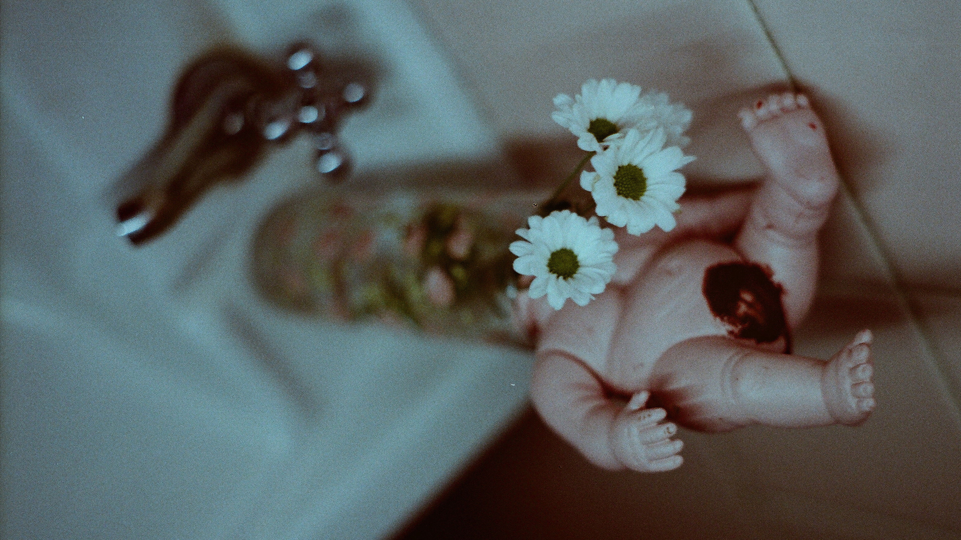 Backdrop for As Tristes Lágrimas do Crocodilo