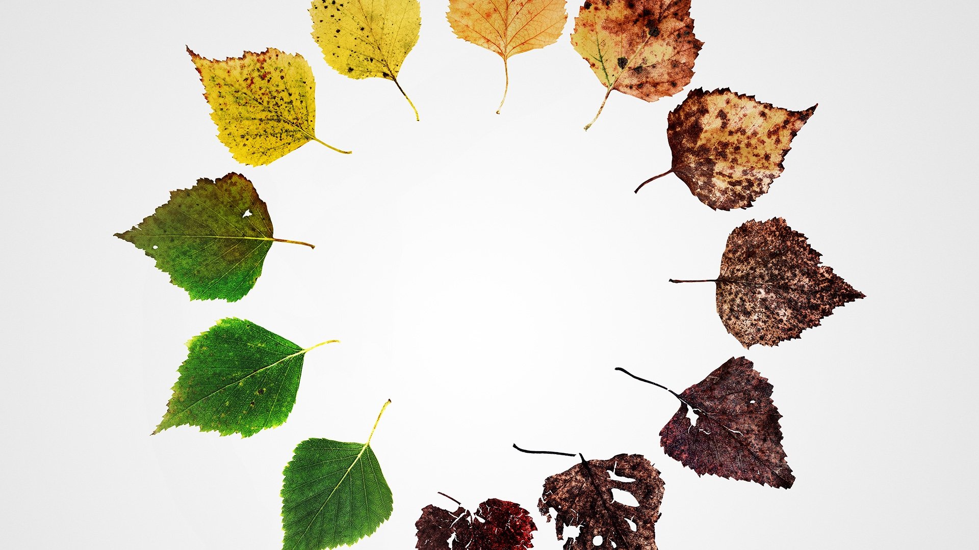 Backdrop for Alternate Endings: Six New Ways to Die in America