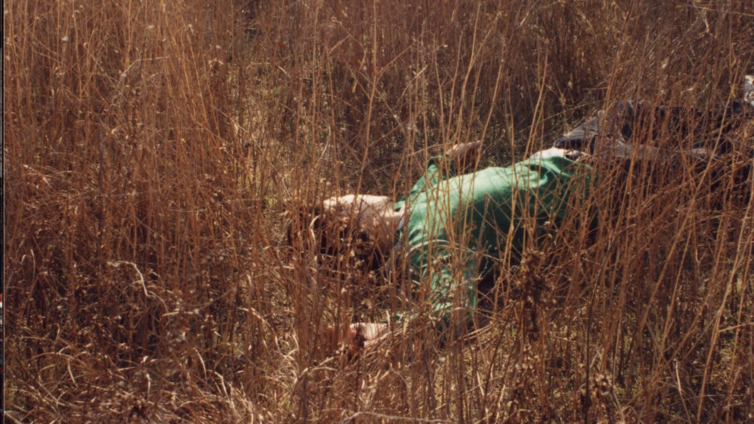 Backdrop for Rest in the Light