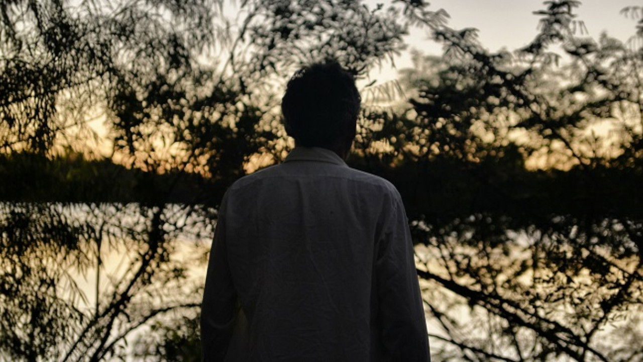 Backdrop for The Regal Lemon Tree