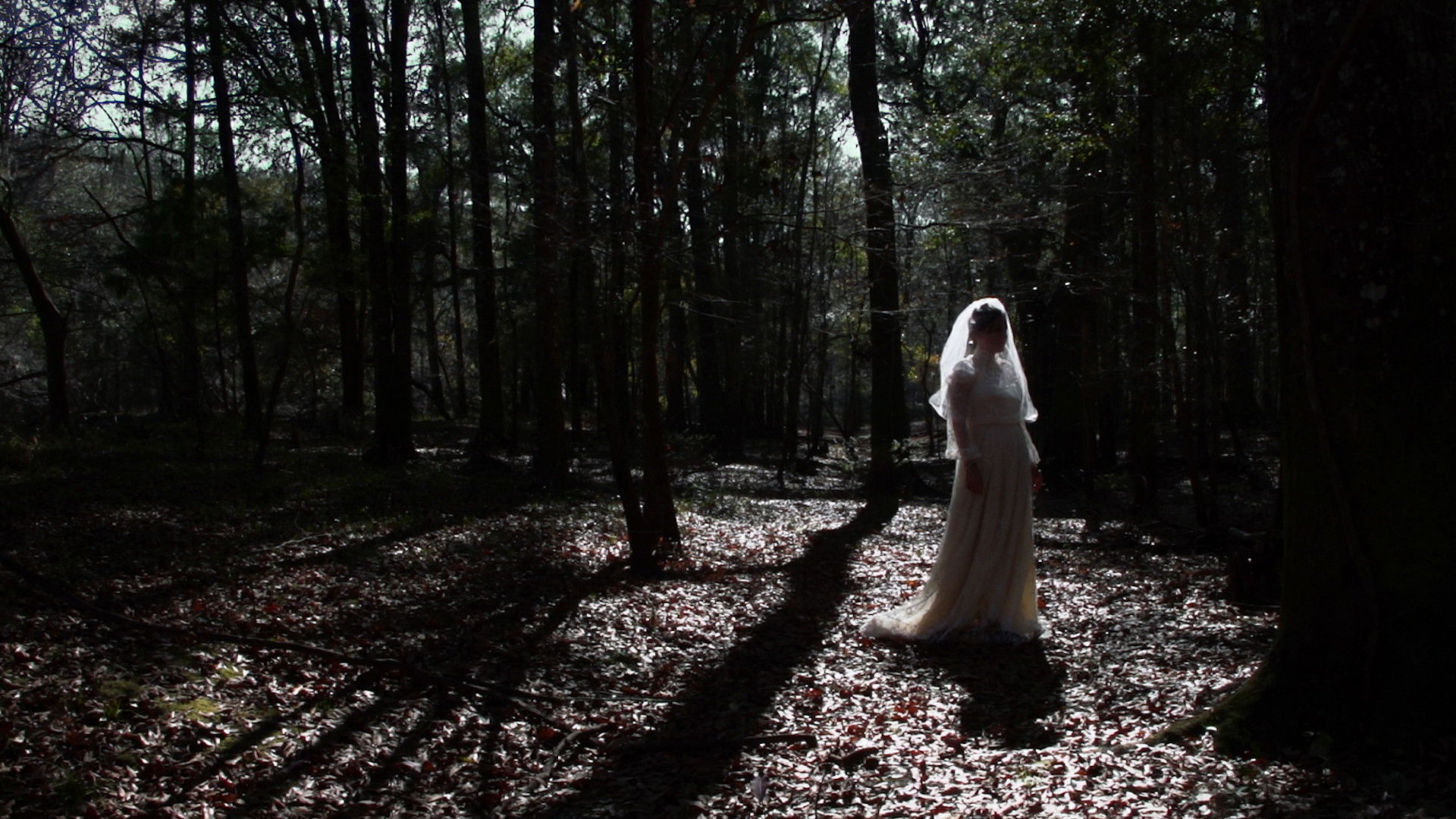 Backdrop for Spirits in the Storm