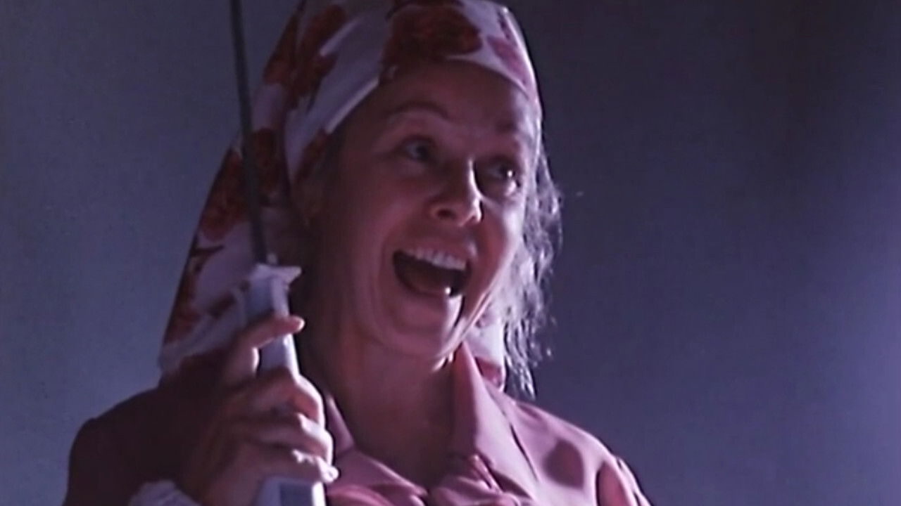 Backdrop for Mushrooms