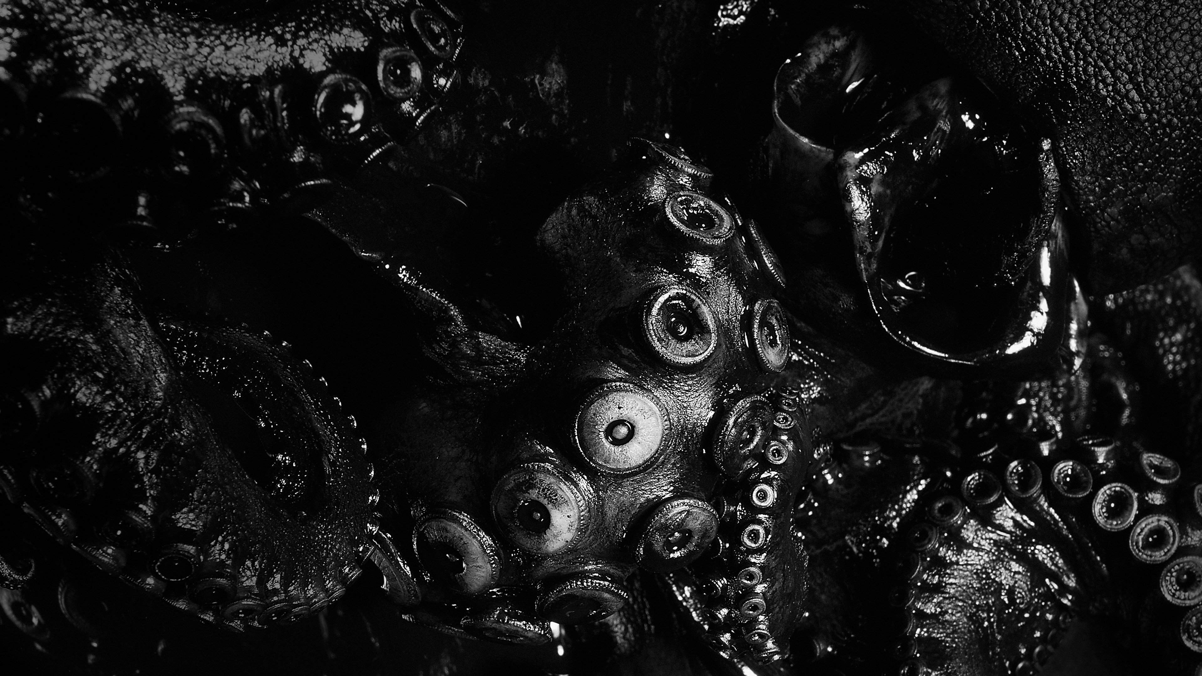 Backdrop for Monsters of The Abyss