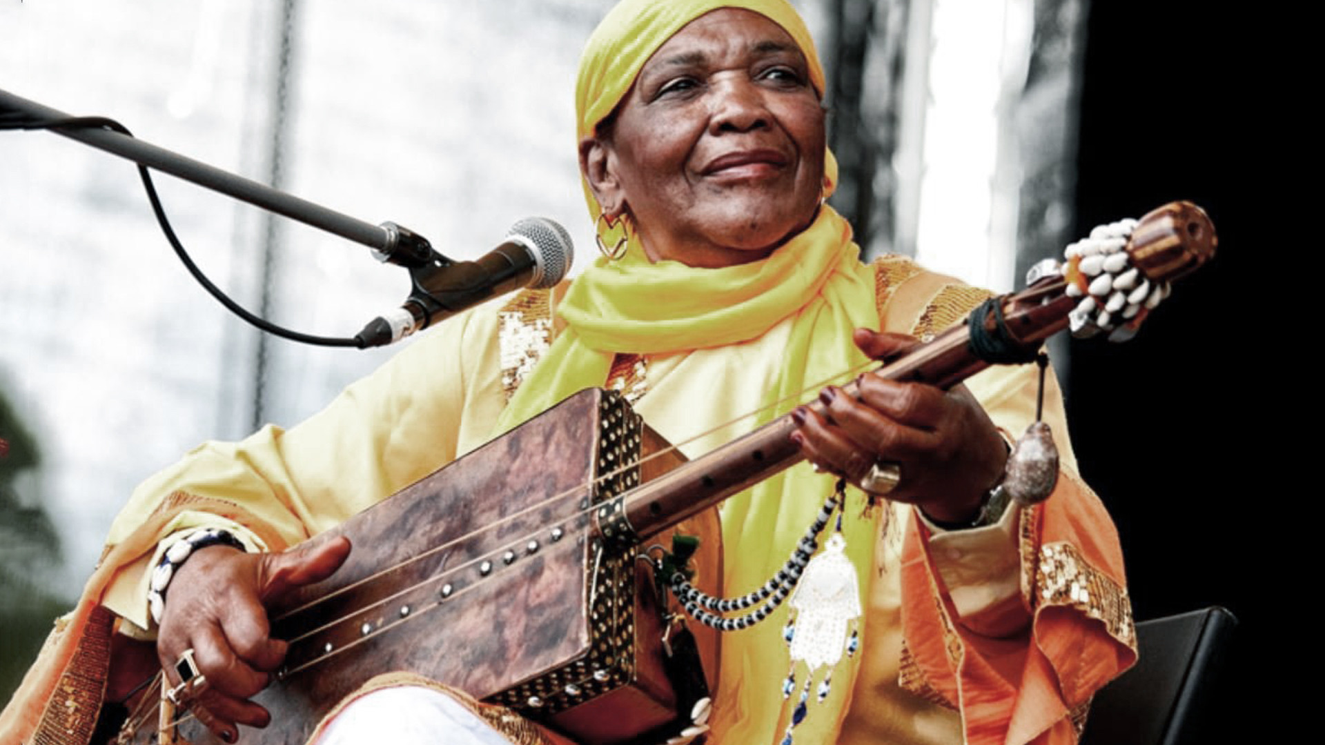 Backdrop for The Desert Rocker