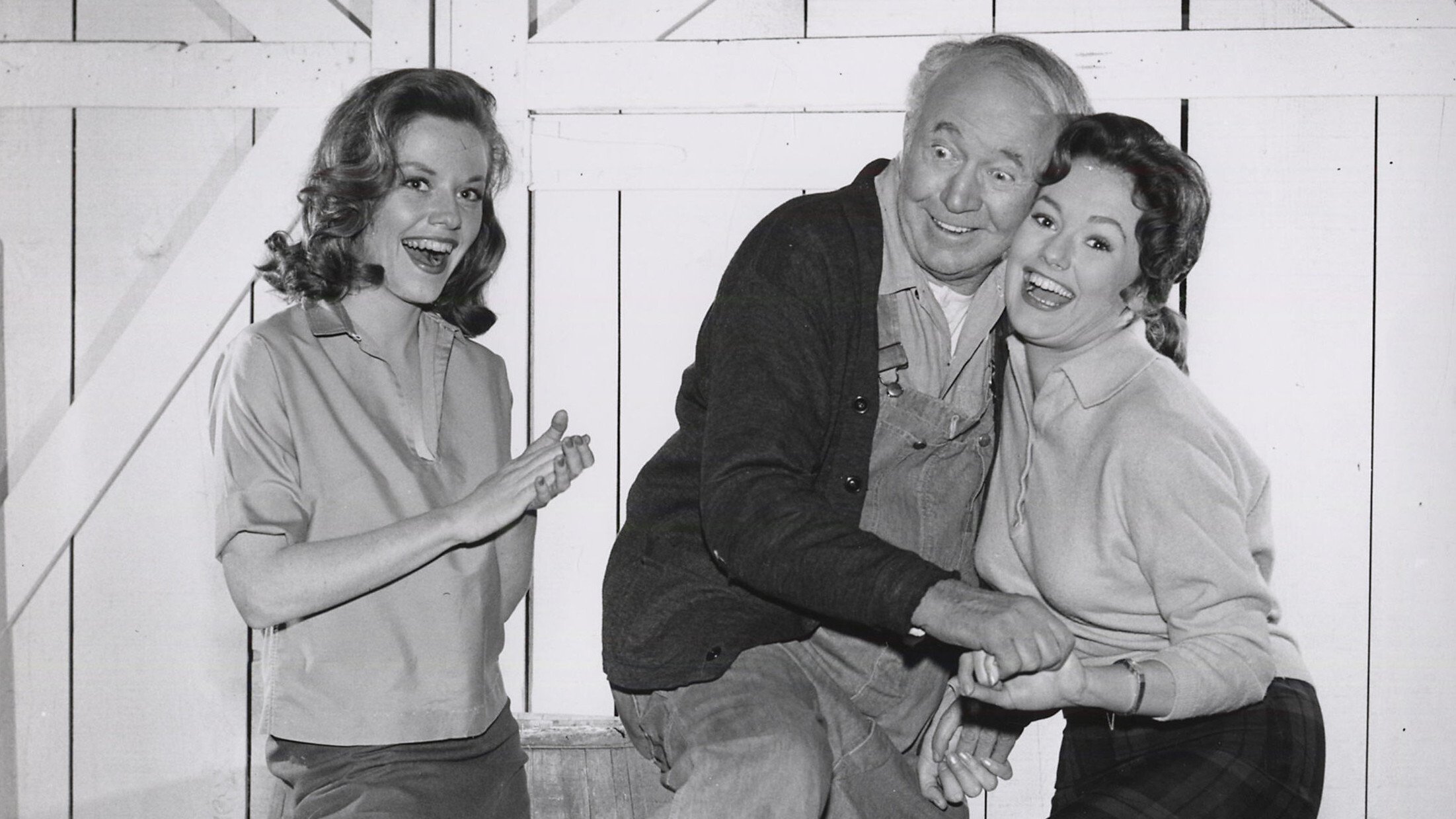 Backdrop for The Real McCoys