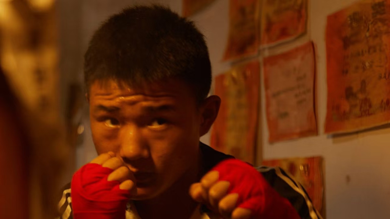 Backdrop for A Whale-Riding Teenager