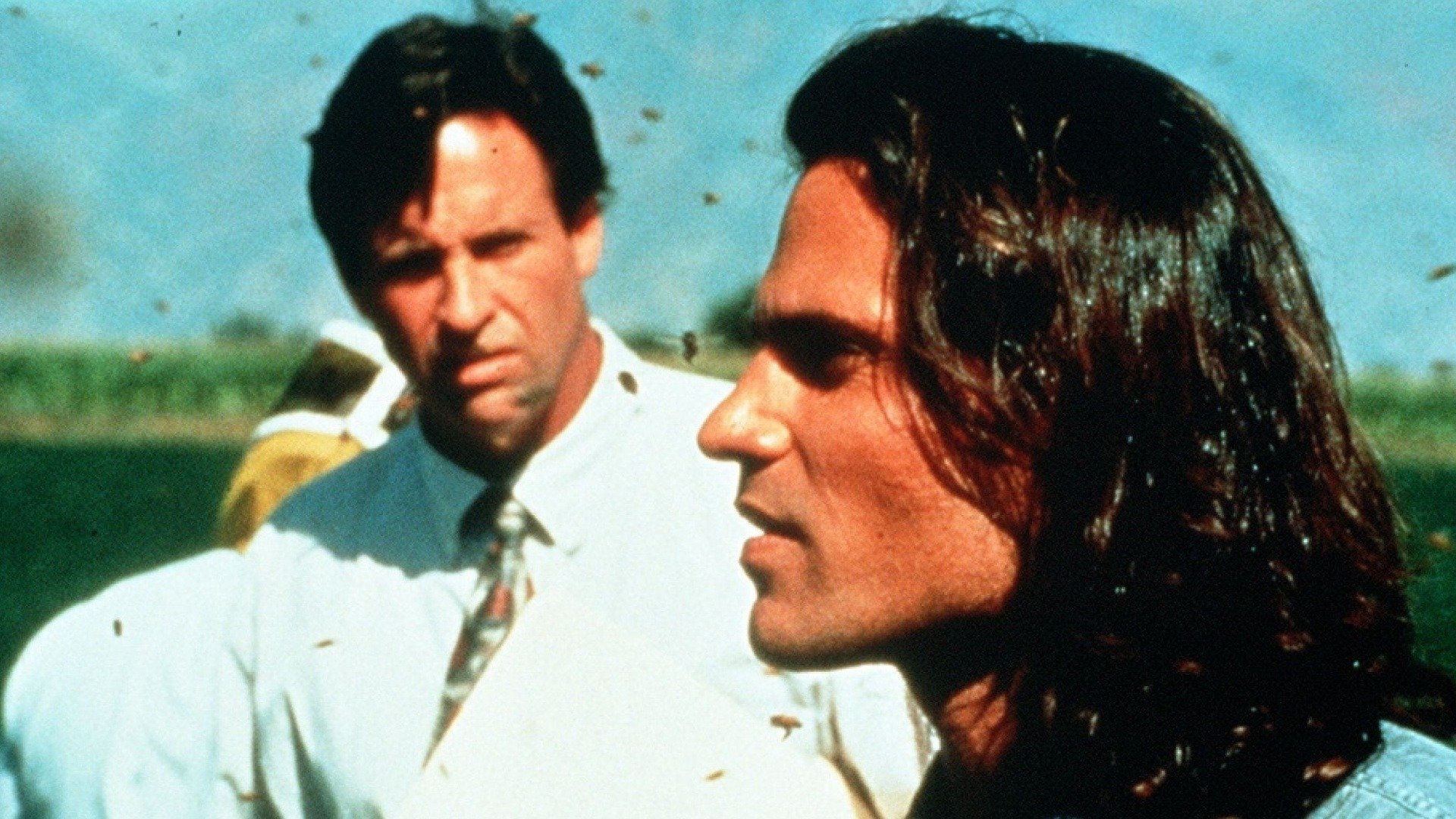 Backdrop for Deadly Invasion: The Killer Bee Nightmare