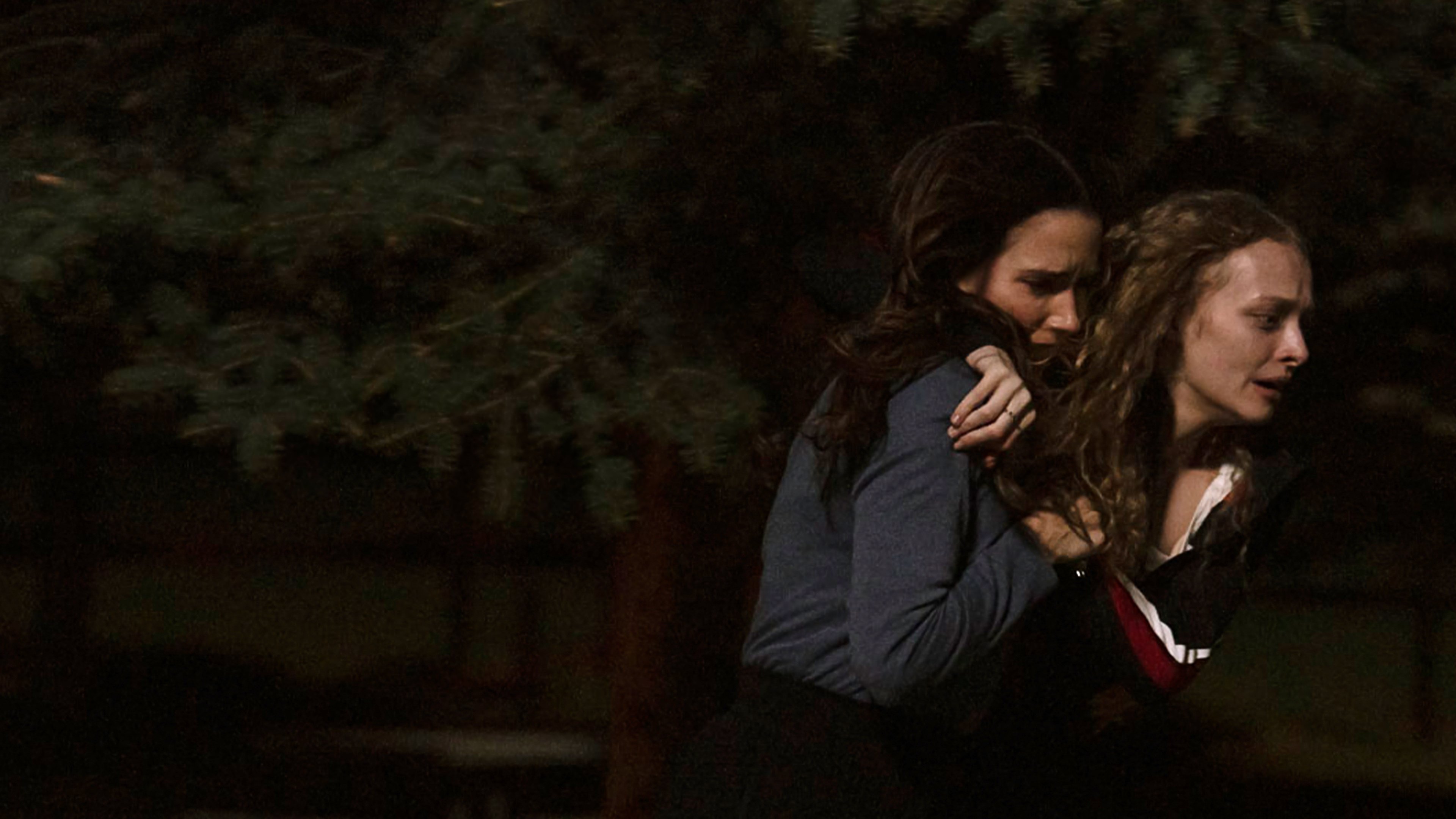 Backdrop for The Stranger in My Home