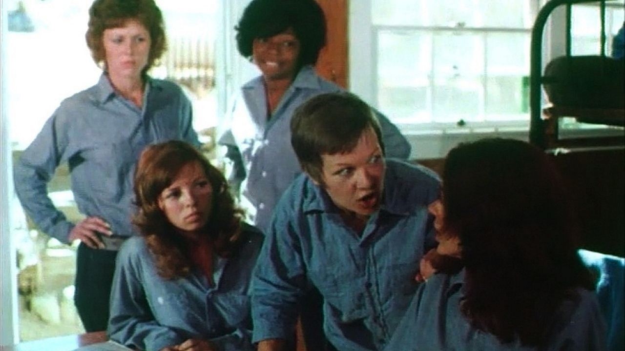 Backdrop for Five Loose Women