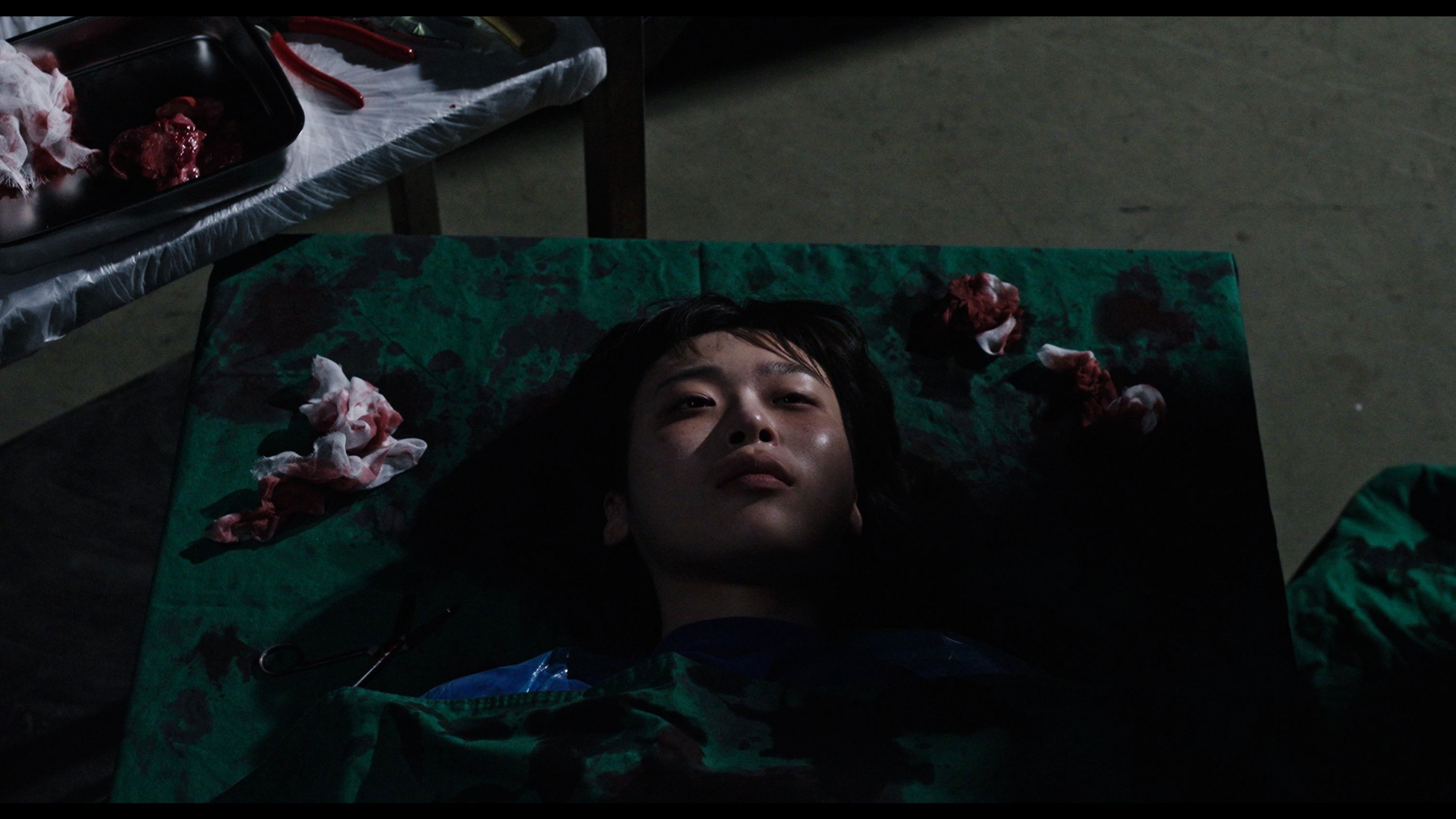 Backdrop for How to Kill a Vampire