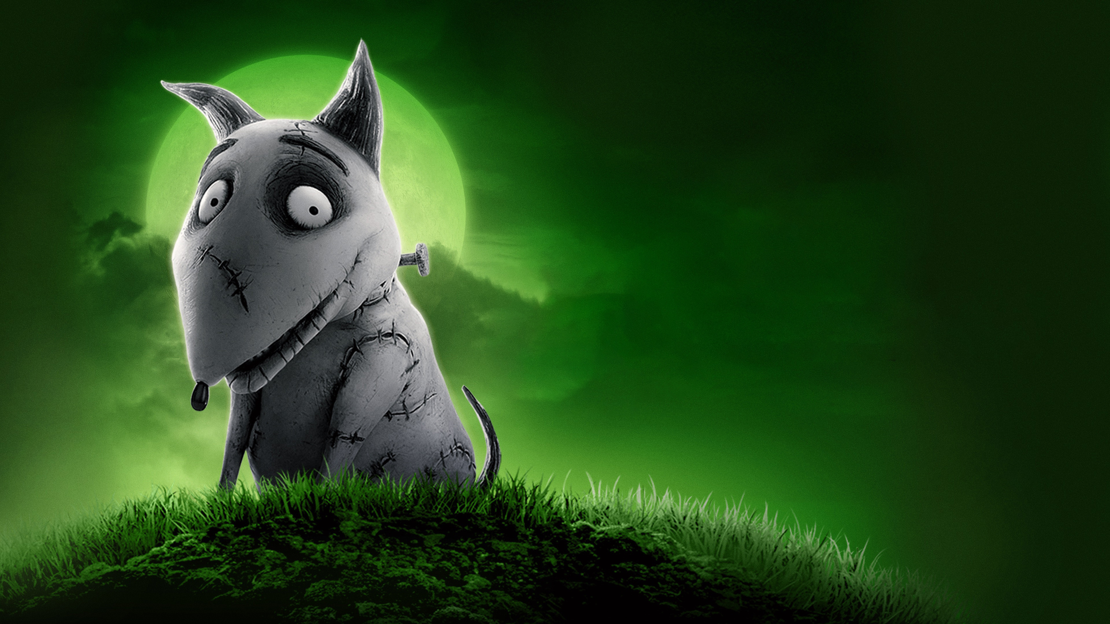 Backdrop for Frankenweenie