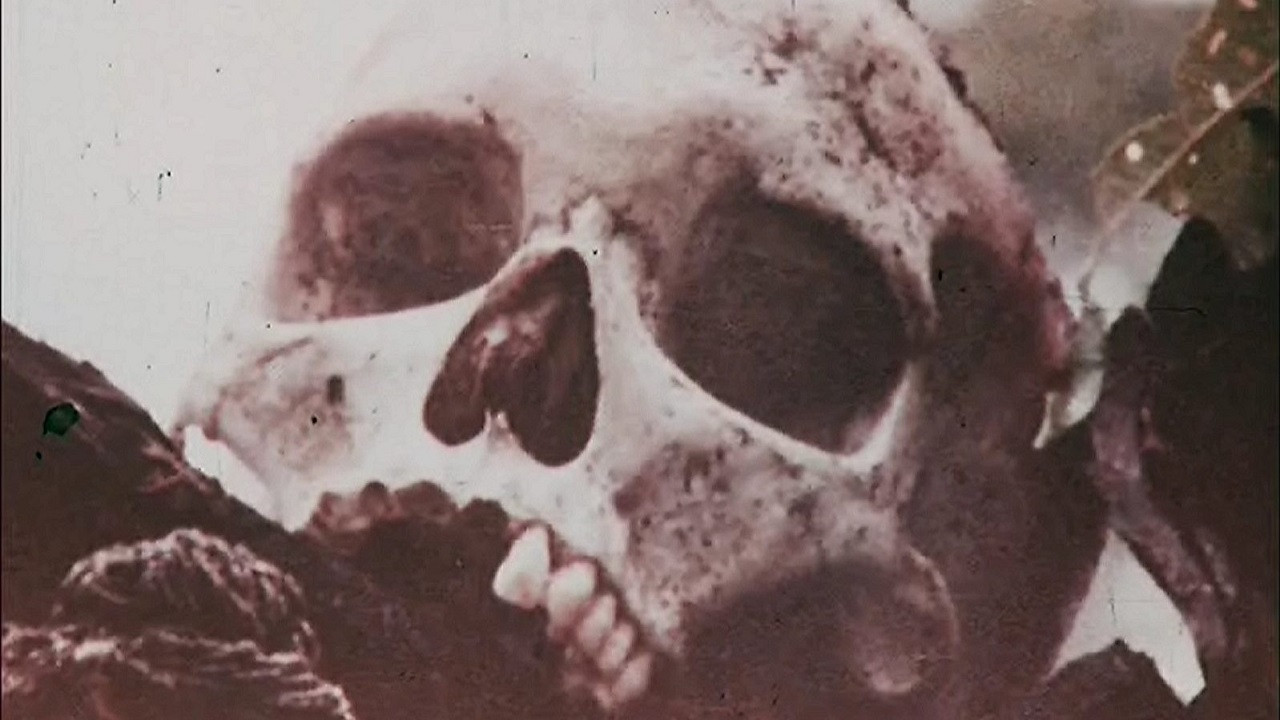 Backdrop for Cannibali - Leggenda o realtà