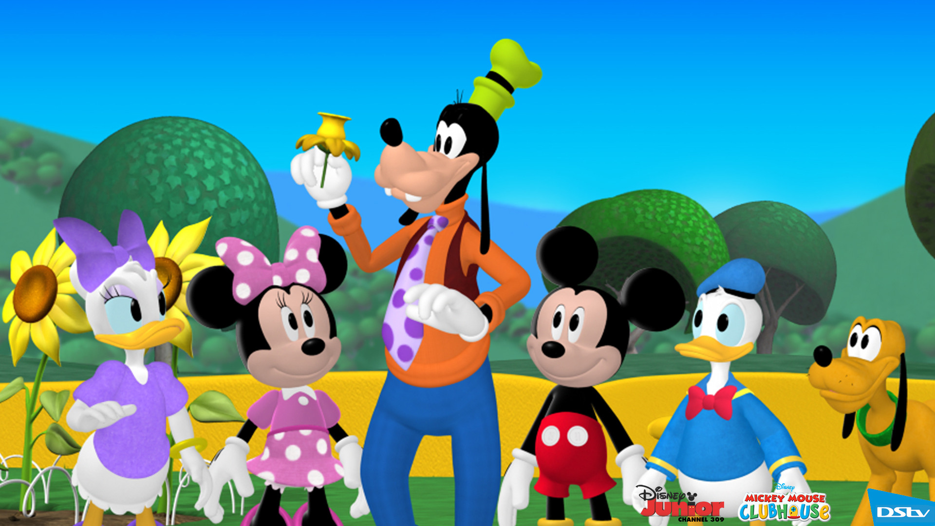Backdrop for Mickey Mouse Clubhouse: Mickey's Sport-Y-Thon